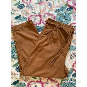 American Eagle Casual Pants Size 18